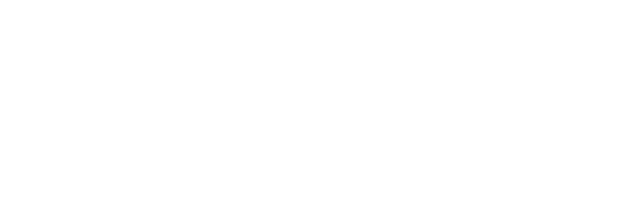 Organifer Logo